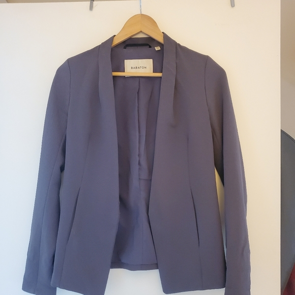Aritzia Babaton Keith Blazer - Picture 2 of 4